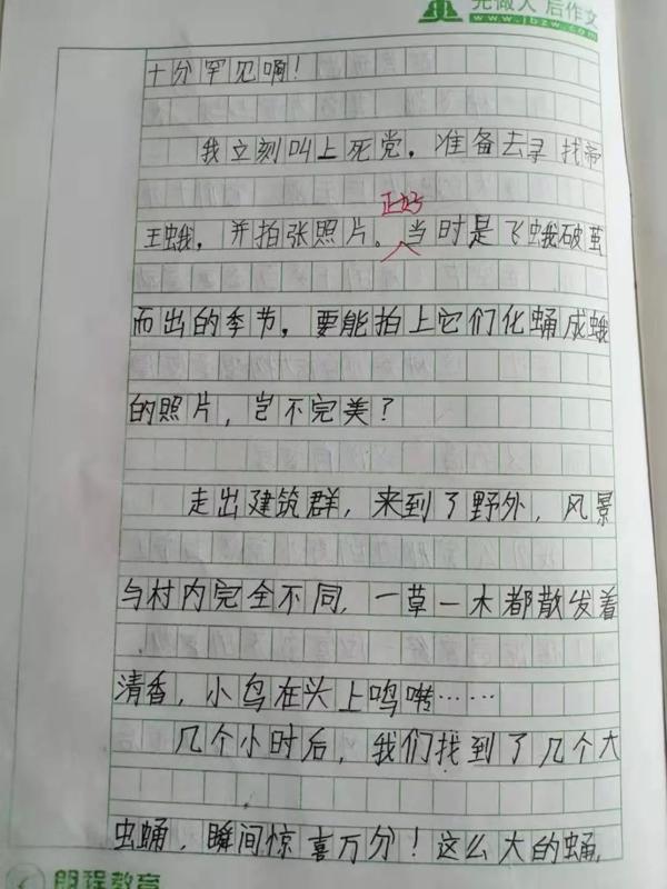 【育成讯息】作文=1/2语文 14