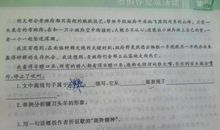 2020最新《斑羚飞渡》的读后感