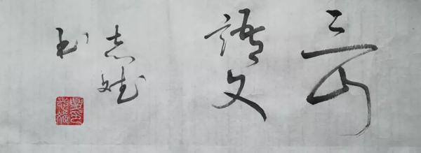 作文大赛特等奖‖程湜：黑•白•灰 4
