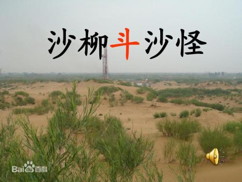 《沙柳斗沙怪》小学二年级语文教案