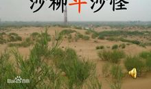 《沙柳斗沙怪》小学二年级语文教案