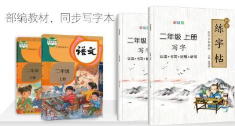 10岁孩子的满分作文火了,字迹堪比印刷体!网友:工整到像打印的 13