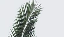 高考语文如何写出满意的作文？