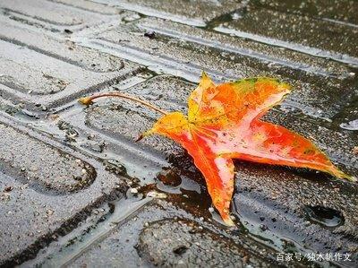 五年级作文:秋风秋雨
