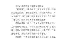 我真看不惯400字作文