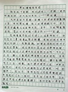 买东西的作文300字