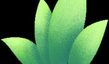 中考满分作文，宅家里学习，晨读背一背这些范文吧~