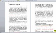 探析心灵第三层面的生理基础论文