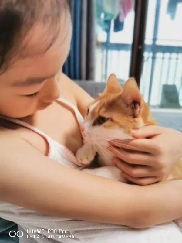 自从领养莲心，她的作文造句都有“猫”字 2