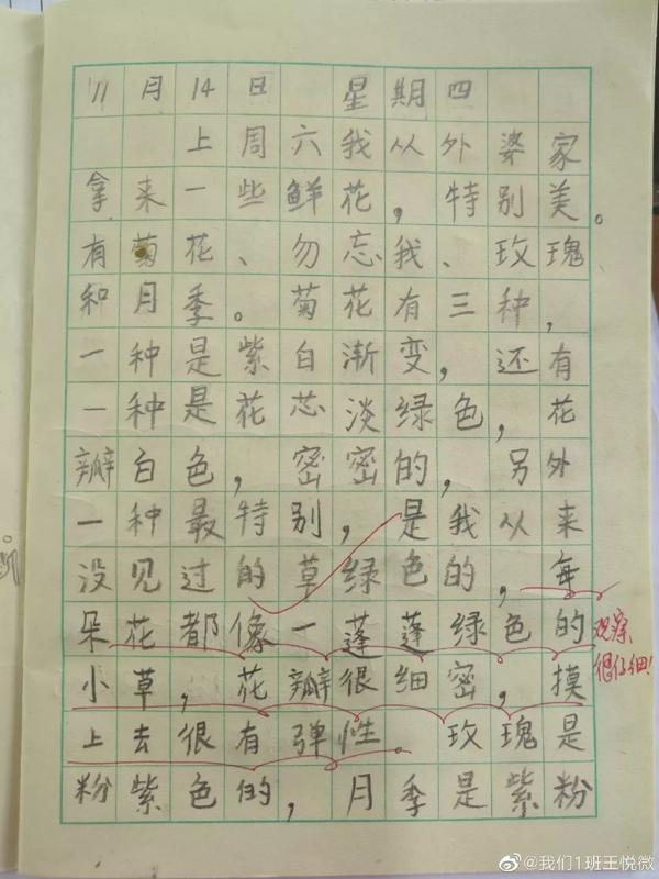 无趣的作文千篇一律，有趣的老师万里挑一 8