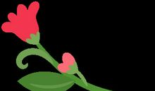 【作文妙妙屋】注意植物的多与少