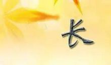 友情与亲情的交锋 读《金蟒蛇》有感900字