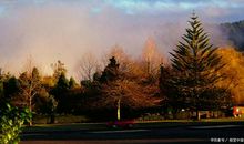 睡前好书读后感！晚安前看看吧！