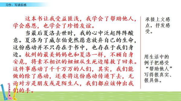 部编五年级下册第二单元《写读后感》图文讲解+优秀范文 30