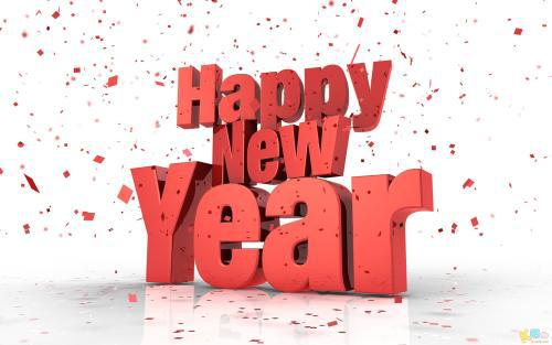关于春节的英语作文：new year party_800字