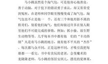 《淘气包马小跳》的读后感 五年级读后感作文500字