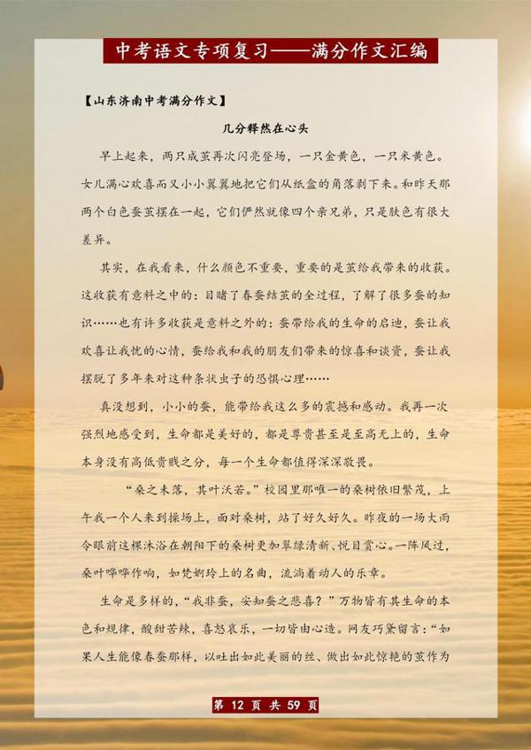 语文老师力荐:中考语文专项复习满分作文汇编!初中生务必留一份 11