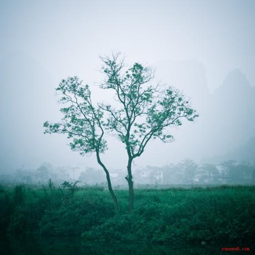 听雨归声 描写雨的优美散文1500字