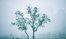 听雨归声 描写雨的优美散文1500字