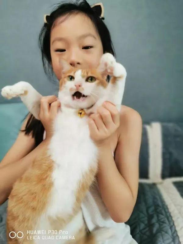 自从领养莲心，她的作文造句都有“猫”字 8