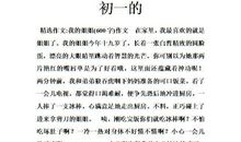 姐姐，我，家 我的姐姐作文800字