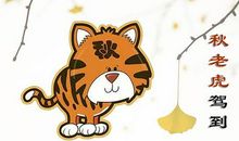 秋老虎 立秋作文300字