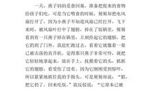 死去的小鸟 呼吁保护动物的小学生作文400字