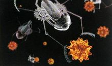 可以杀死新冠病毒的纳米机器人 小学想象作文300字