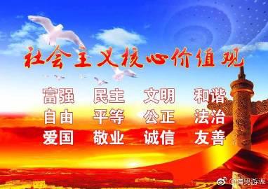 爱国、敬业、诚信、友善 初中生爱国作文600字