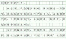 我们这个班集体作文650字