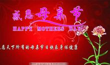 感恩有您 四年级感恩母亲作文300字