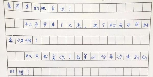 小记者选拔 优秀作文选登 7