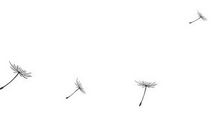 【学生稿件】三年级一班优秀作文选