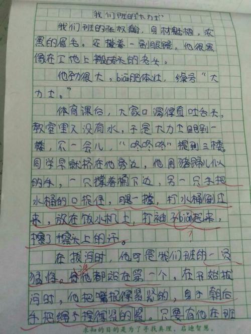三哥 高中生优秀写人作文800字