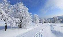 雪 美丽的雪景作文300字