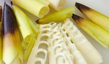 好作文｜关于春笋的美食与记忆