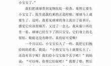 写泰迪犬的作文