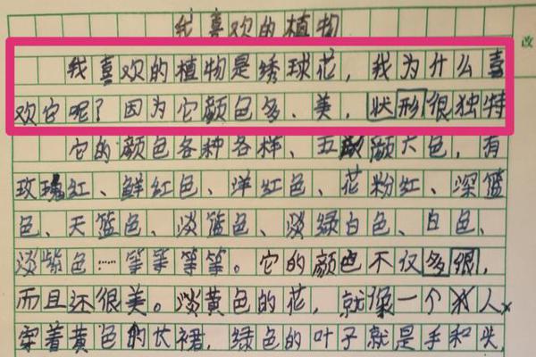 作文高手之——干掉大白话,让作文鲜活起来
