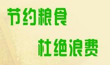 爱粮节粮，杜绝浪费 节约粮食作文300字