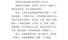 我的家在东北 我爱家乡作文300字