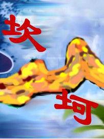 我的坎坷学车路 我的学车之路作文1200字