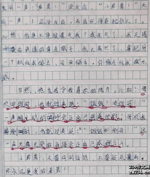 我的弟弟 活泼可爱的弟弟作文400字