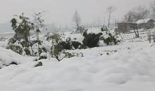 雪中即景 描写冬雪的作文400字