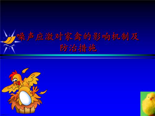 饲养环境对家禽健康的危害及调控论文