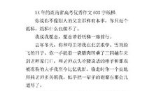 2013湖南高考优秀作文：纸梯_800字