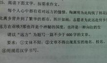 真话与谎言 高一作文500字