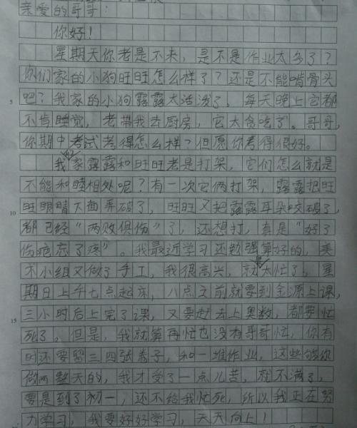 奇迹的作文550字