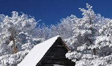 原创 中学生热点话题作文：《幸与不幸》