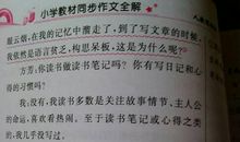 我的最爱五年级作文