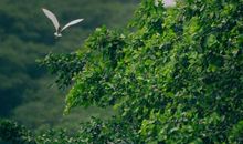 生路，天堂散文